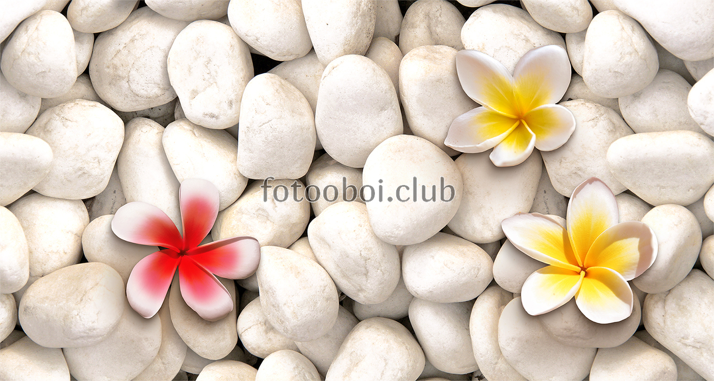 цветы, цветок, камни, 3д, 3d, стереоскопические 